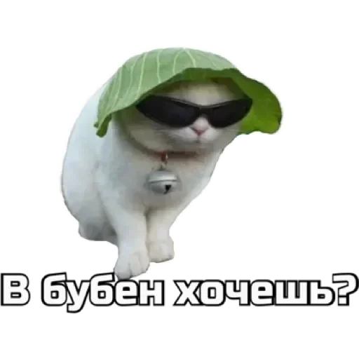 😎 Стикер «СпутниКот» для Telegram