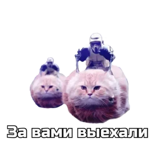 🚑 Стикер «СпутниКот» для Telegram