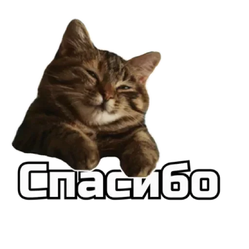 🙂 Стикер «СпутниКот» для Telegram