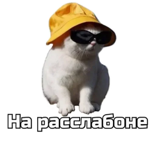 ⛺️ Стикер «СпутниКот» для Telegram