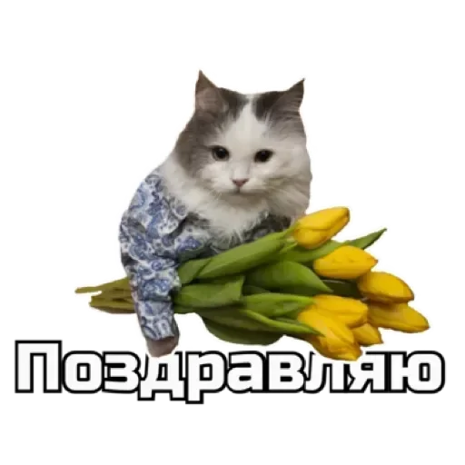 🎊 Стикер «СпутниКот» для Telegram