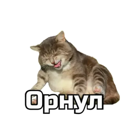 😹 Стикер «СпутниКот» для Telegram