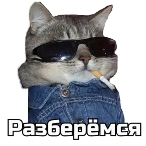😎 Стикер «СпутниКот» для Telegram
