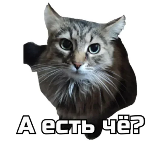 🙂 Стикер «СпутниКот» для Telegram