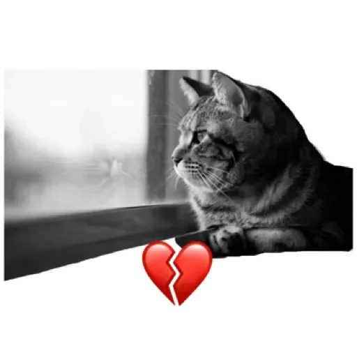 💔 Стикер «СпутниКот» для Telegram
