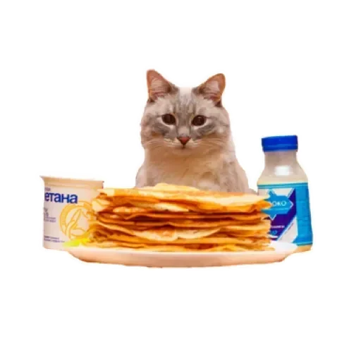 🥞 Стикер «СпутниКот» для Telegram