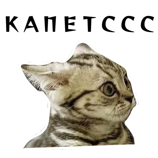 🥺 Стикер «Спящий Режим» для Telegram