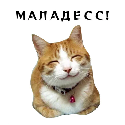 😱 Стикер «Спящий Режим» для Telegram