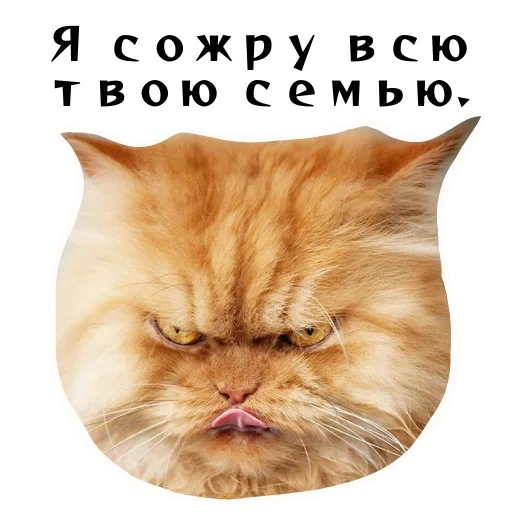 🥶 Стикер «Спящий Режим» для Telegram