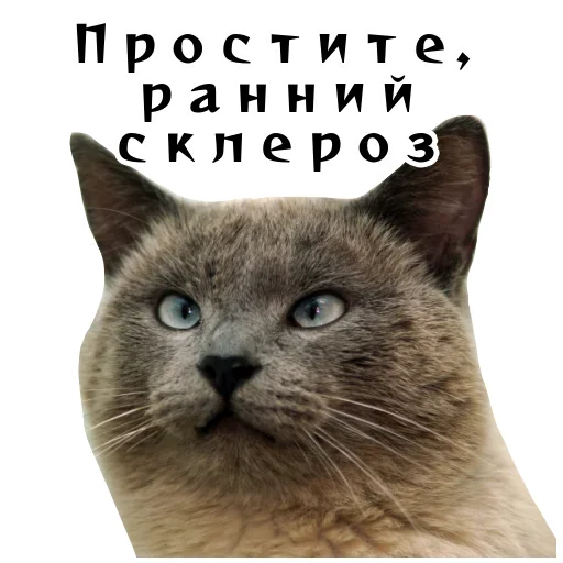 😨 Стикер «Спящий Режим» для Telegram