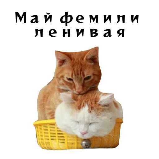 😡 Стикер «Спящий Режим» для Telegram