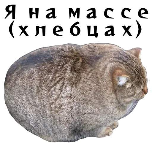 😡 Стикер «Спящий Режим» для Telegram