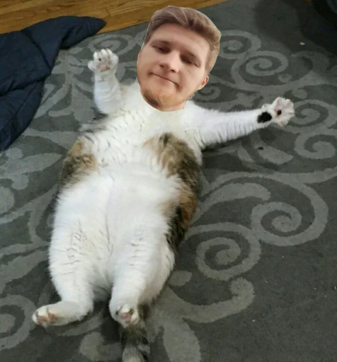 🐈 Стикер «всратые еблеты сани» для Telegram