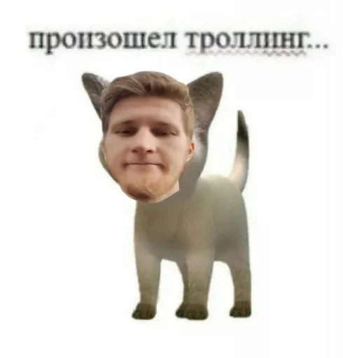 🥴 Стикер «всратые еблеты сани» для Telegram
