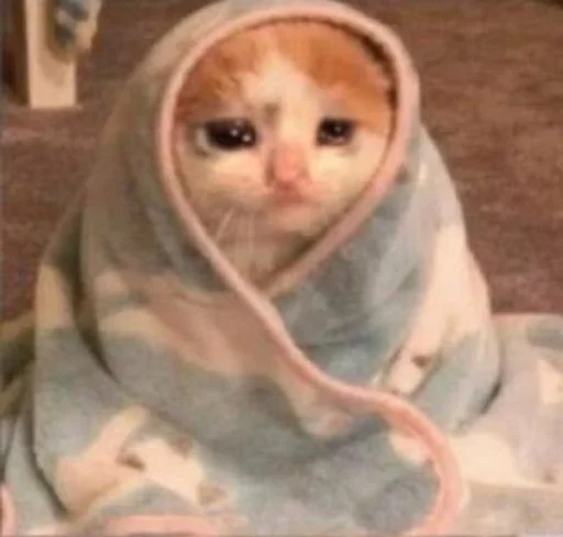 😿 Стикер «Братва» для Telegram