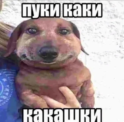 💩 Стикер «Братва» для Telegram