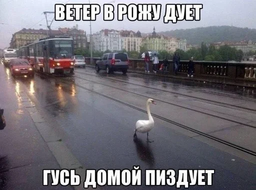 🐥 Стикер «Братва» для Telegram