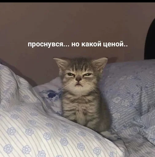 🤕 Стикер «Братва» для Telegram