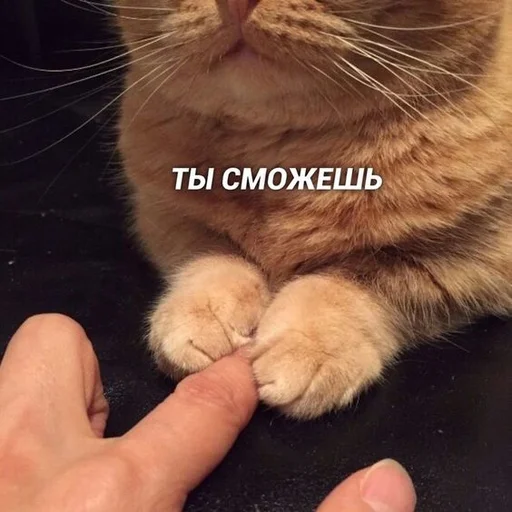 😊 Стикер «Братва» для Telegram