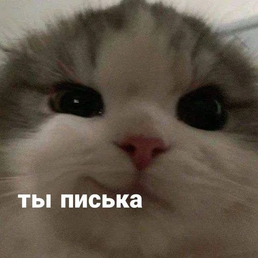 😗 Стикер «Братва» для Telegram