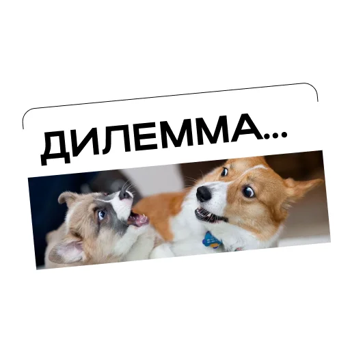 🤷‍♀️ Стикер «Простыми словами» для Telegram