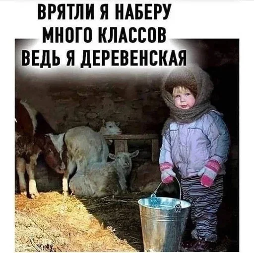 🪣 Стикер «интернет картинки» для Telegram