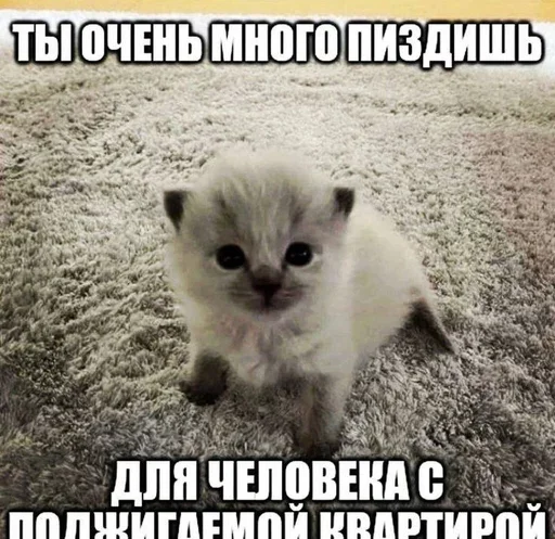 😊 Стикер «интернет картинки» для Telegram