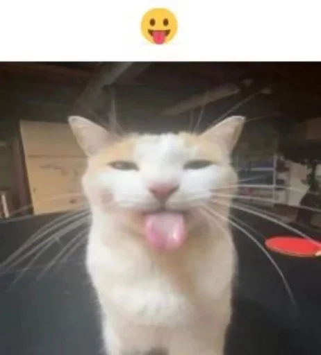 😛 Стикер «интернет картинки» для Telegram
