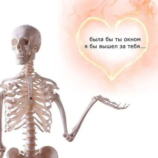 🧺 Стикер «( ◜‿◝ )♡» для Telegram