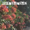 Стикер 10 Ssshhhiiittt