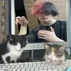 Стикер 41 Zxcursed