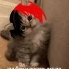 Стикер 9 Zxcursed