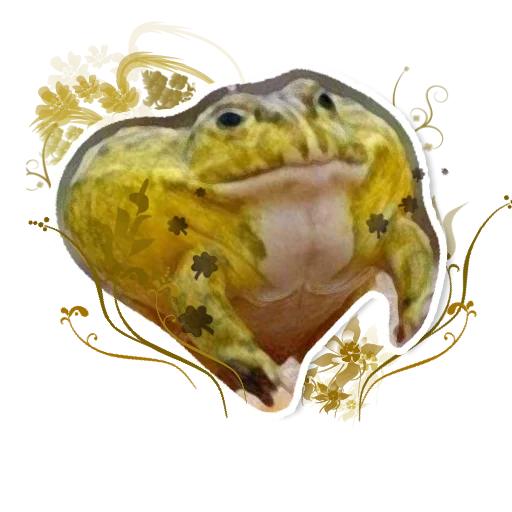 🐸 Стикер «z» для Telegram