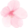 🌸 Эмодзи «Свадьба» для Telegram