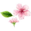 🌸 Эмодзи «Свадьба» для Telegram