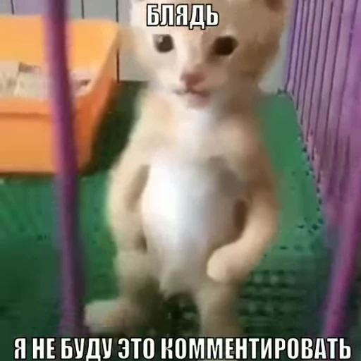 😶‍🌫️ Стикер «ST INC.» для Telegram