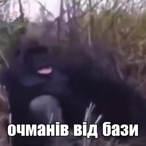 😵 Стикер «ST INC.» для Telegram