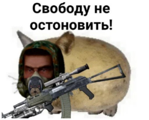 🌴 Стикер «Сталкерония» для Telegram