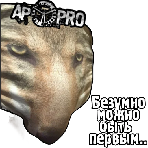 🐺 Стикер «S.T.A.L.K.E.R. Universe 2» для Telegram