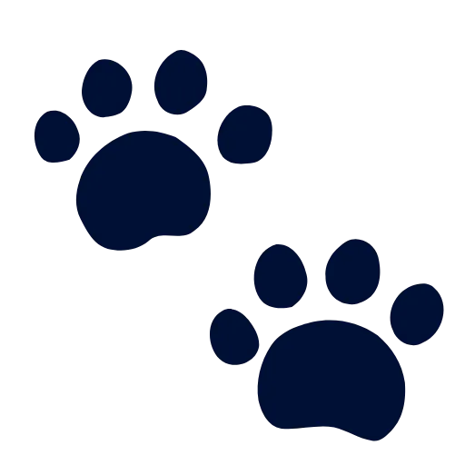 ⭐️ Эмодзи «Star Cat» для Telegram