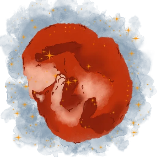 🧚 Стикер «кот и лис» для Telegram