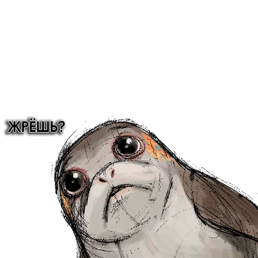 😳 Стикер «Star Wars Porgs» для Telegram