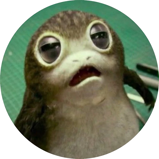 🤤 Стикер «Star Wars Porgs» для Telegram