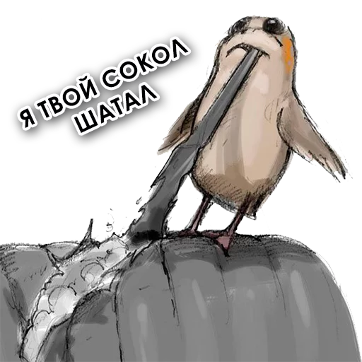 😁 Стикер «Star Wars Porgs» для Telegram