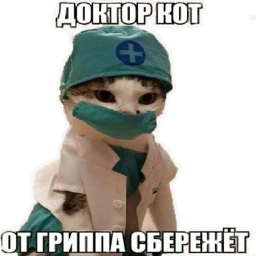 😻 Стикер «Stay Home» для Telegram