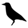 🦅 Эмодзи «Steam random ➜» для Telegram