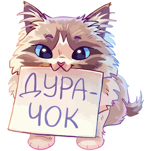 Стикер 12 Стелла add