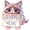Стикер 14 Стелла