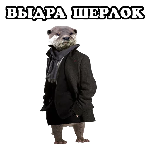 🥺 Стикер «Sparrow» для Telegram