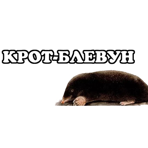 😡 Стикер «Sparrow» для Telegram